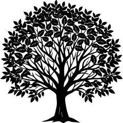 Obraz premium Deciduous Tree Silhouette Vector