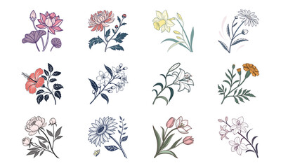 Elegant floral arrangements of twelve botanical flower illustrations with lotus hibiscus chrysanthemum daffodil daisy jasmine lily marigold peony sunflower tulip and orchid