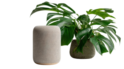 Modern speaker with greenery, stylish home decor with plant, minimalistic design, elegant ambiance.