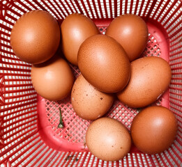 easter eggs in a basket