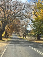 Fototapeta premium Driving through a regional town in autumn in Australia