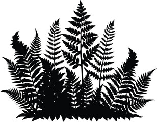 Forest Ferns and Moss Silhouette Design, Fern and Moss Ground Texture © Shahar