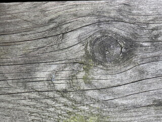 old wood background