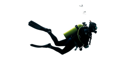 A lone scuba diver swims through the water, wearing a wetsuit and with oxygen tank on their back.