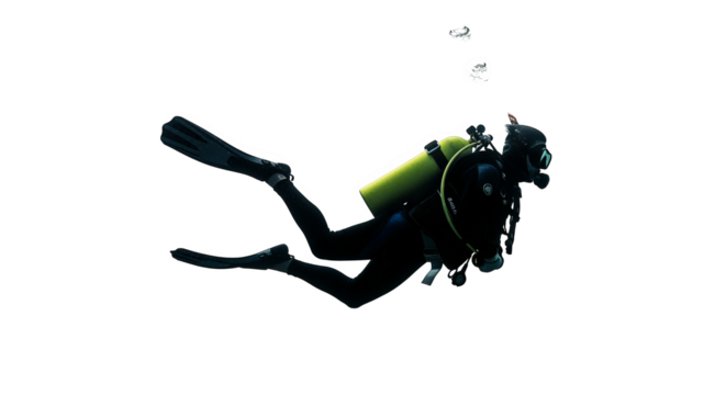 A lone scuba diver swims through the water, wearing a wetsuit and with oxygen tank on their back.