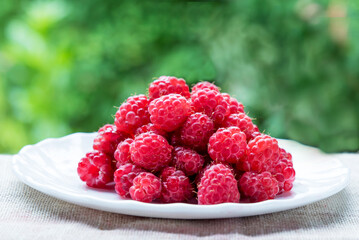 A handful of fresh ripe red raspberries on a white plate in the garden against a background of...