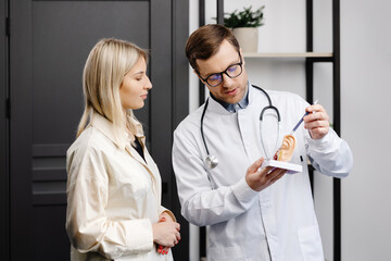 A young attractive otolaryngologist doctor shows a model of the ear and tells the patient about the...