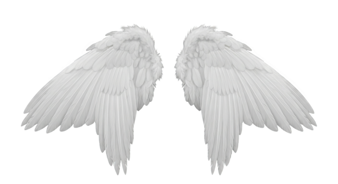 A pair of majestic white angel wings unfurl, radiating ethereal beauty and a sense of soaring