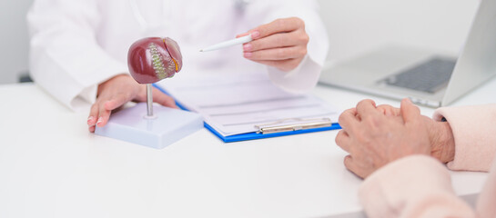 Doctor with human Liver anatomy. Elderly Patient consultation medical health for Liver cancer and Tumor, Jaundice, Viral Hepatitis, Cirrhosis, Failure, Enlarged, Hepatic Encephalopathy, Ascites Fluid