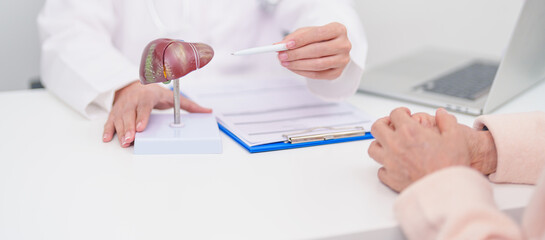 Doctor with human Liver anatomy. Elderly Patient consultation medical health for Liver cancer and Tumor, Jaundice, Viral Hepatitis, Cirrhosis, Failure, Enlarged, Hepatic Encephalopathy, Ascites Fluid