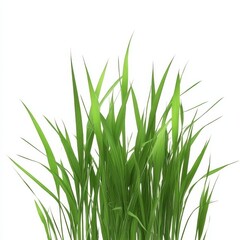Obraz premium Lush Green Blades of Grass Stretching Towards the Sky