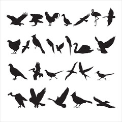 Set of Bird Silhouettes Vector – Flying, Perching, and Walking Birds Collection for Nature and Wildlife Design