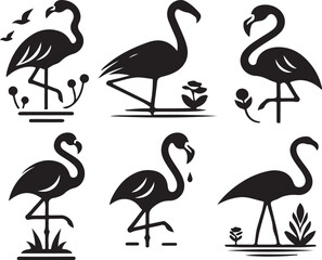 Flamingo vector illustration  elegant tropical bird Design  Summer Themes on white background