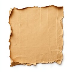 Torn Cardboard Paper Piece with Uneven Edges on White Background