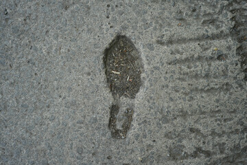 A footprint embedded in concrete, showcasing an impression of a shoe sole with small debris like...