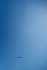 airplane in flight