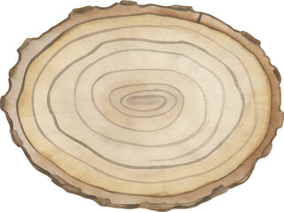 Watercolor wood slice with growth rings on transparent background.