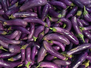 Eggplants on market stall