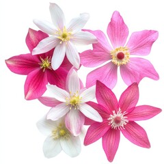 Delicate Pink and White Flowers Arrangement for Creative Projects