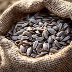 Naklejka premium Harvested sunflower seeds in a burlap sack ready for processing and distribution in rural farm setting