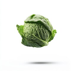 Fototapeta premium Isolated Falling Cabbage on White Background with Shadow Effect