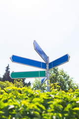 Empty directional signpost above green foliage on sunny day. Concept of navigation, choices, travel...