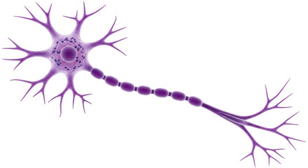 Isolated Neuron © Leon