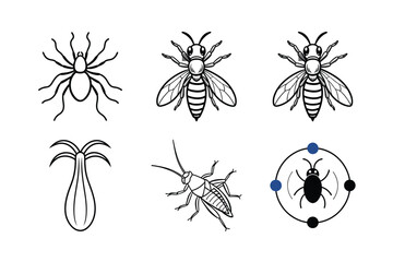 insect line art vector illustration on white background