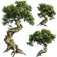Exaggerated Cartoon Trees with Curvy Trunks and Lush Foliage