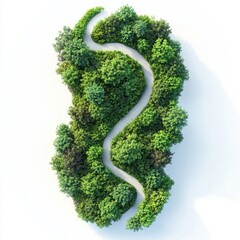 Winding Single Path Through Dense Green Forest Landscape