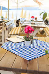 Seaside cafe table with blue checkered cloth and flower pot. Outdoor hospitality, coastal relaxation, and casual Mediterranean dining experience