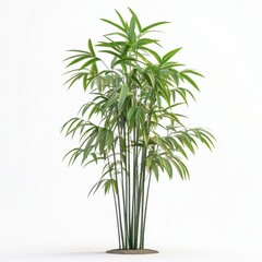 Obraz premium Lush Green Bamboo Plant with Segmented Stalks Growing Tall