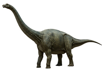 A sauropod dinosaur stands against a black background It has a long neck small head and four legs