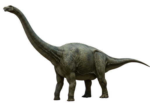 A sauropod dinosaur stands against a black background It has a long neck small head and four legs