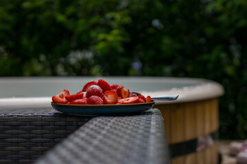 Close up healthy summer snack plate by the pool on a hot day. High quality photo