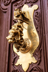 Vintage doorknocker dog shape on old wooden door