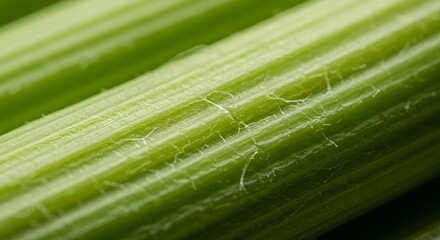 Fototapeta premium Macro Close-up of Celery Stalks Revealing Textured Surface and Fine Details