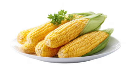 Freshly harvested corn on the cob arranged elegantly on a white plate. garnished with a sprig of cilantro. showcasing vibrant colors and textures. ideal for culinary presentations or food-related co