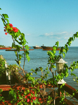 Bateau sur l&rsquo;oc&eacute;an avec fleurs tropicales au premier plan