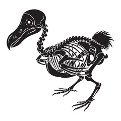 The quiet form of extinction – Dodo skeleton silhouette in stylized Dodo skeleton vector – Dodo skeleton illustration   © Vectorhub