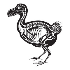 Structure of a vanished species – Dodo skeleton silhouette detailed through refined Dodo skeleton vector – Dodo skeleton illustration   © Vectorhub