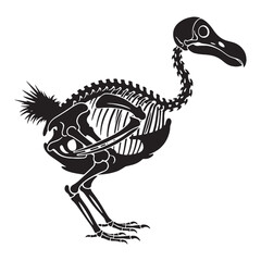 Delicate remains, artistic form – Dodo skeleton silhouette paired with elegant Dodo skeleton vector – Dodo skeleton illustration   © Vectorhub