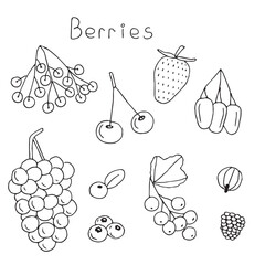 Berries set of doodles, hand drawing, vector illustration