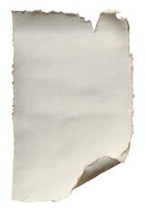 Vertical ripped paper piece with curled torn edges and subtle texture, blank sheet element for digital collage, scrapbook, or design background, isolated on transparent background.









