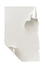 Vertical ripped paper piece with curled torn edges and subtle texture, blank sheet element for digital collage, scrapbook, or design background, isolated on transparent background.









