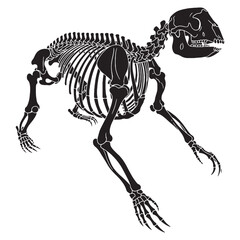 Echoes of prehistoric forests – Giant sloth skeleton silhouette crafted through elegant Giant sloth skeleton vector – Giant sloth skeleton illustration   © Vectorhub