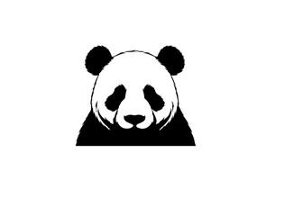 Panda vector illustration on white background.