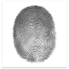 Fingerprint identification security pattern isolated on white background identity concept illustration