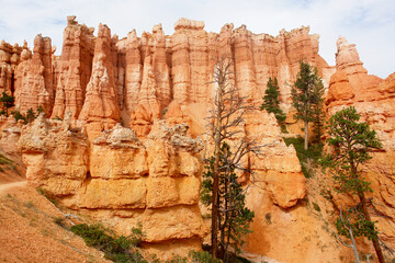 Bryce Canyon National Park located in southwestern Utah, USA
