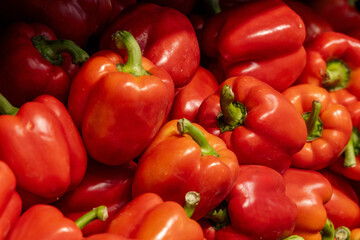 Vibrant assortment of fresh bell peppers in red, orange, and yellow hues organized attractively....